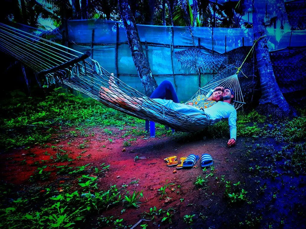 Munroe Paradise