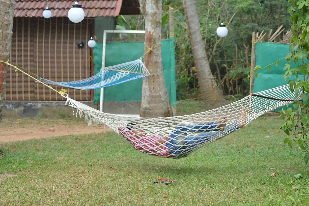 Munroe Paradise